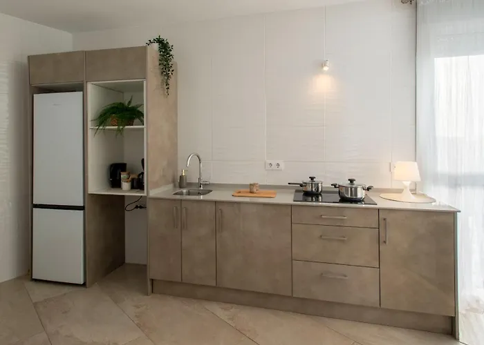 Renaldo & Sarah Conil De La Frontera